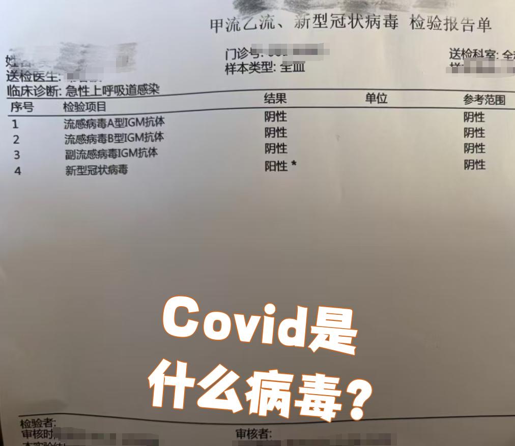 美国新冠肺炎确诊超164万的简单介绍-第1张图片