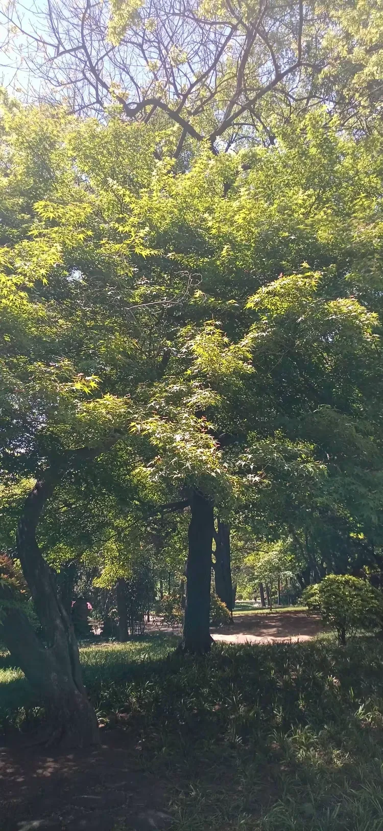 教程辅助!“智星德州菠萝辅助开挂透视脚本”科技辅助神器手机-第3张图片