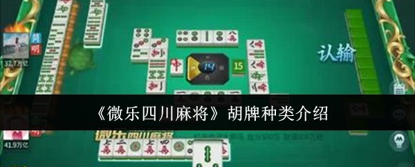 指定教程“微乐湖南麻将万能开挂器(透视)”(必备工具)辅助教学-第3张图片