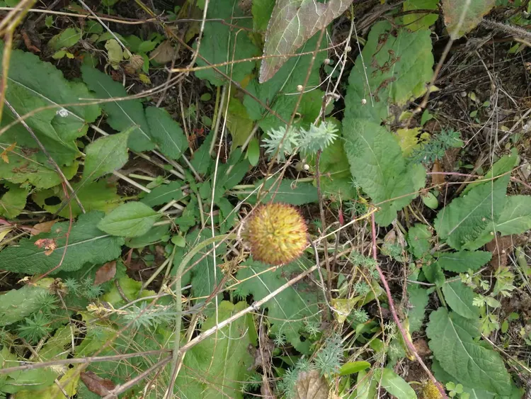 实测辅助“太行麻将开挂最佳方法	”(作弊)辅助透视教程-第2张图片