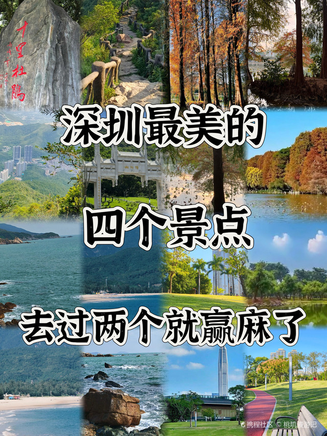 教程开挂辅助“泉州麻将外卦神器下载安装”详细透视教程-第3张图片