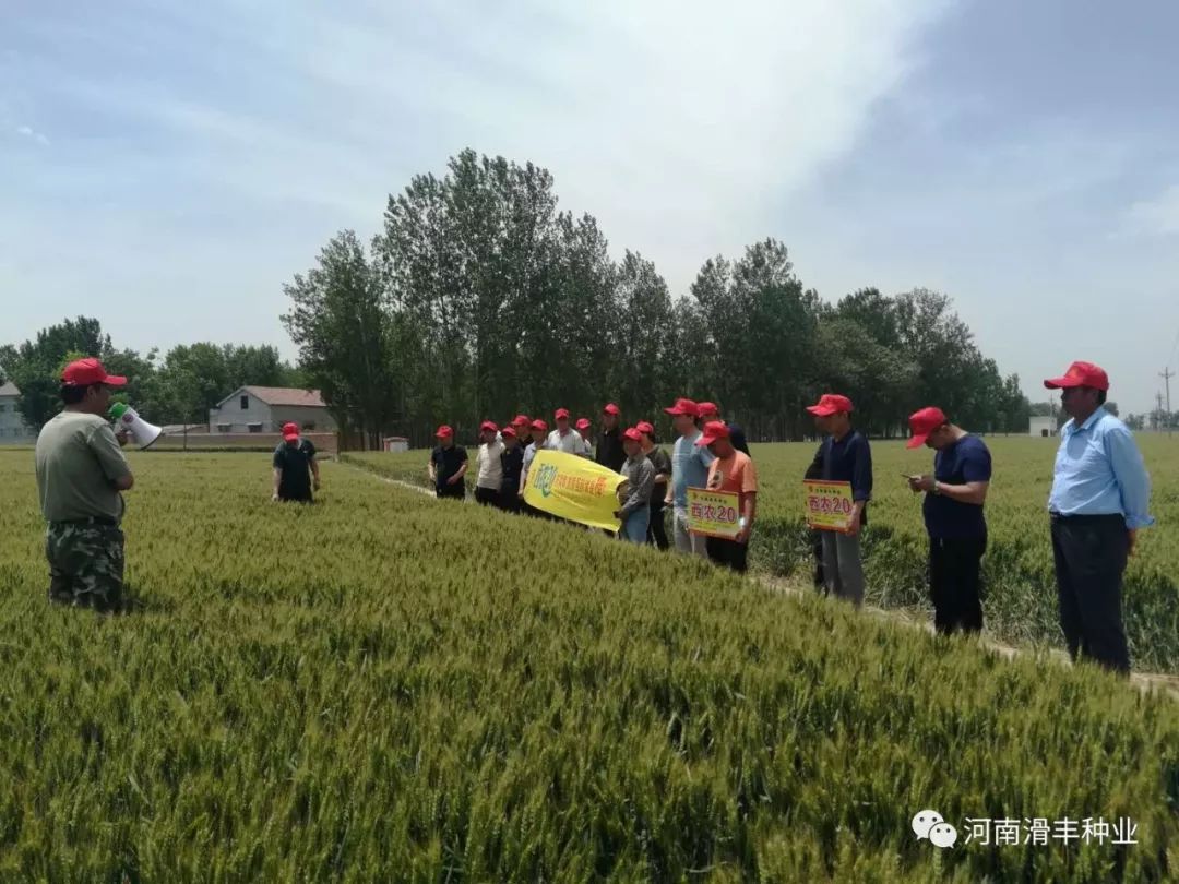 3分钟教程“河南朋友局有没有挂	”揭秘透视辅助万能挂-第1张图片