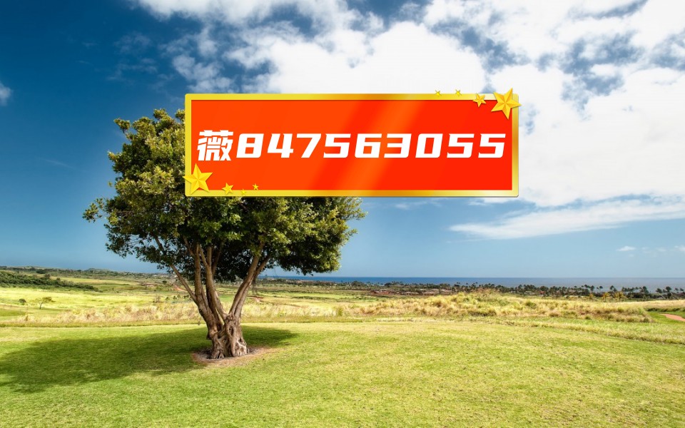 万能开挂辅助“山西扣点点麻将开挂神器免费”开挂(透视)辅助教程-第1张图片
