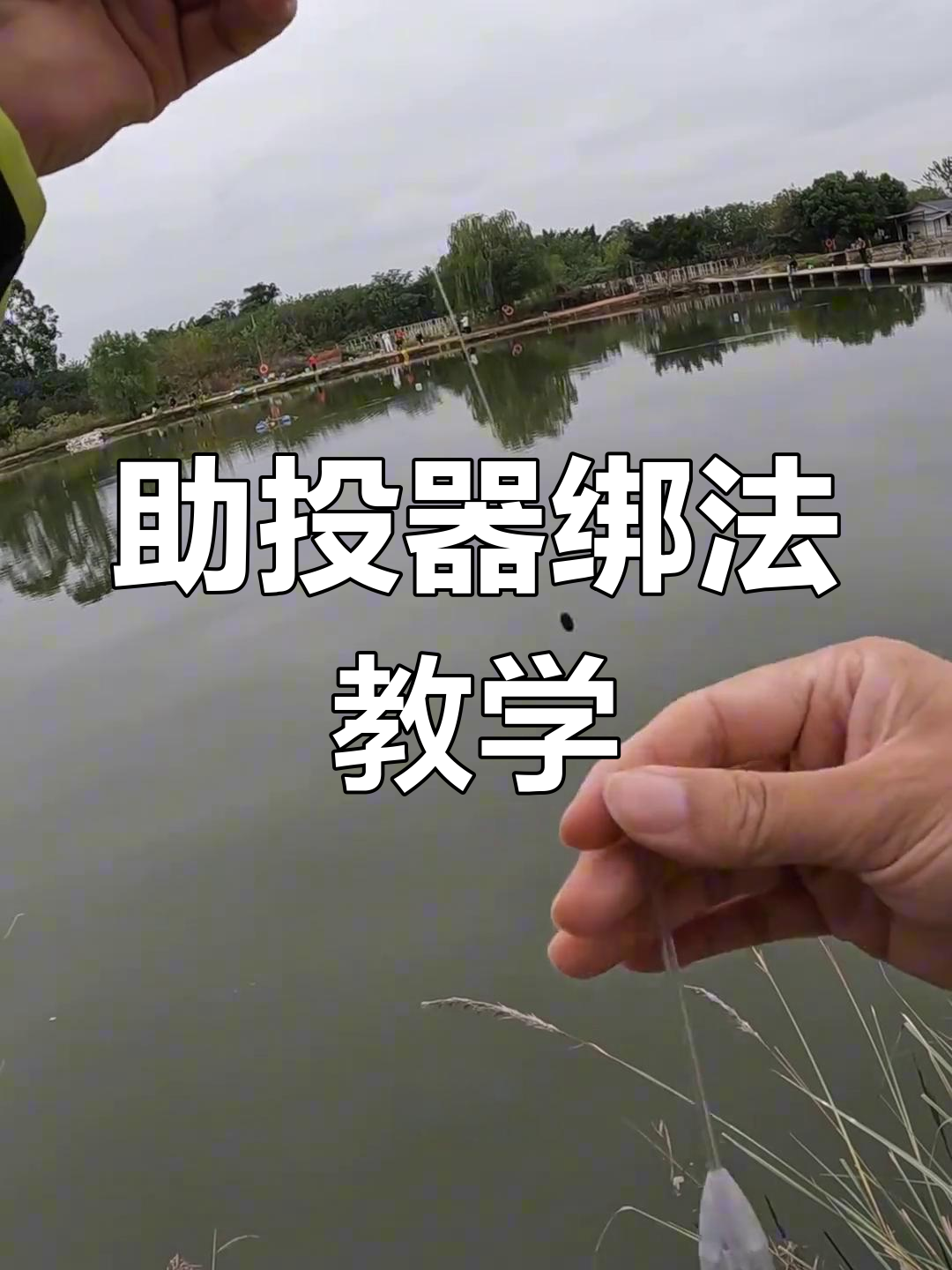 教程辅助“陕麻圈是不是可以作弊”附开挂脚本详细教程-第2张图片