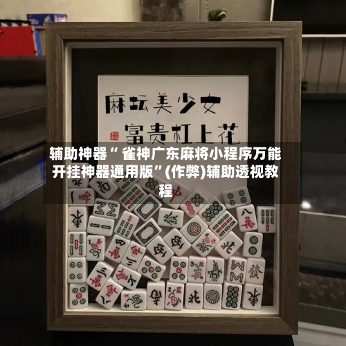 一键必胜“微乐麻将小程序万能开挂器(透视)”(必备工具)辅助教学-第3张图片
