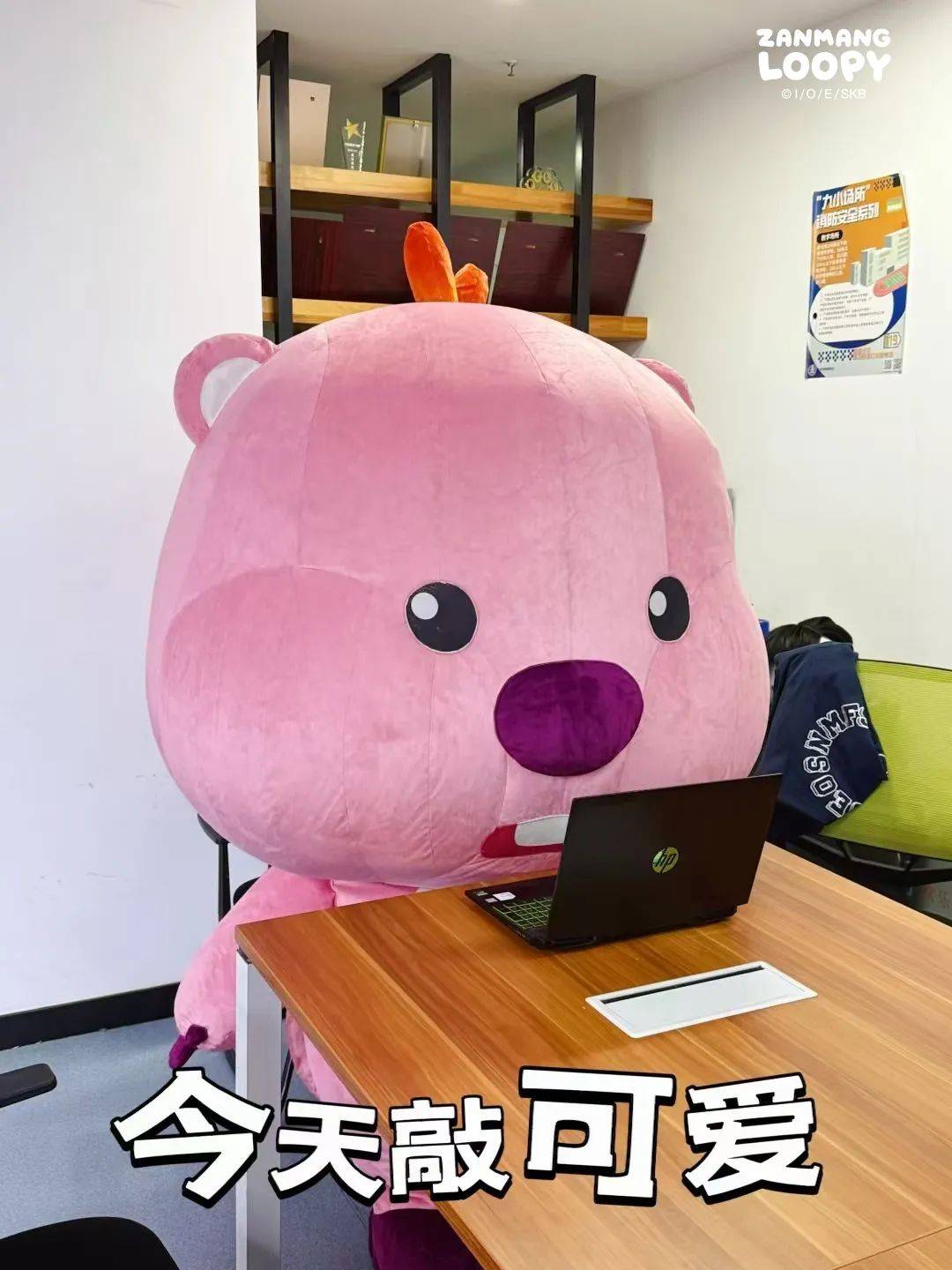 辅助神器“雀神麻将开挂神器下载安装”通用版下载教程-第2张图片