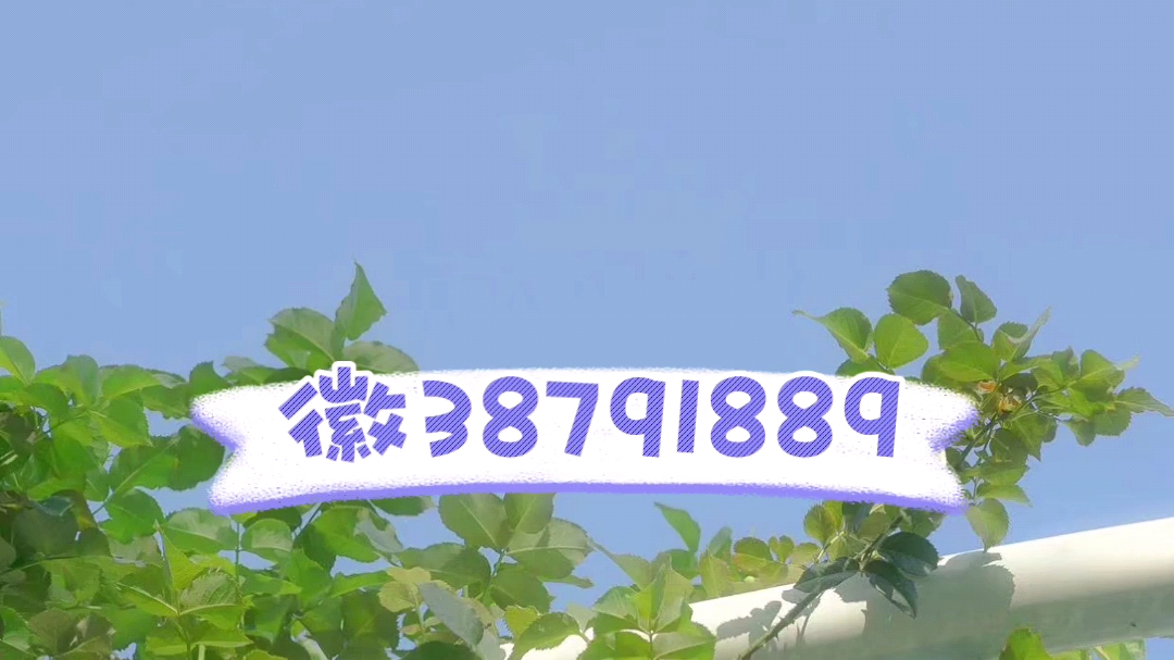 推荐一款“新2号斗牛平台可以开挂吗”开挂(透视)辅助神器-第3张图片