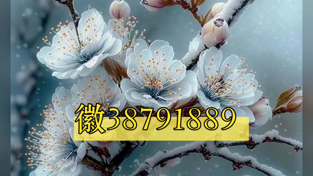 实测教程“老友十三水系统作弊辅助工具一键购买”开挂(透视)辅助教程-第2张图片