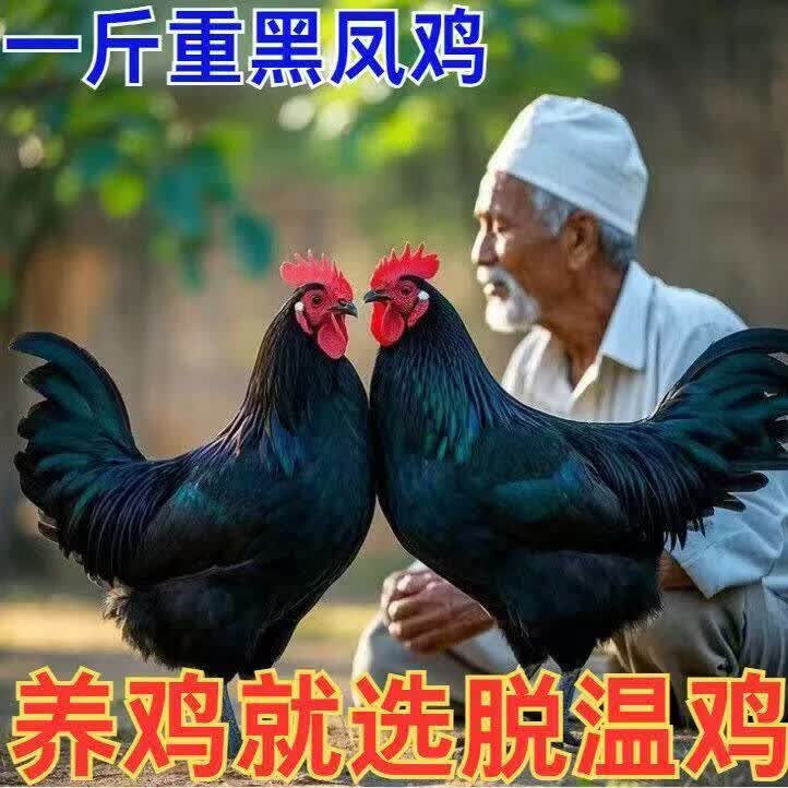 推荐一款“八闵十三水辅助器下载	”附开挂脚本详细步骤-第2张图片