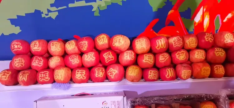 3分钟学会“陕麻圈开挂软件	”详细辅助教程分享-第2张图片